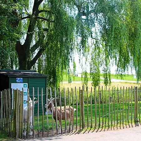 Recreatiepark De Koornmolen Aldeamento Turístico *