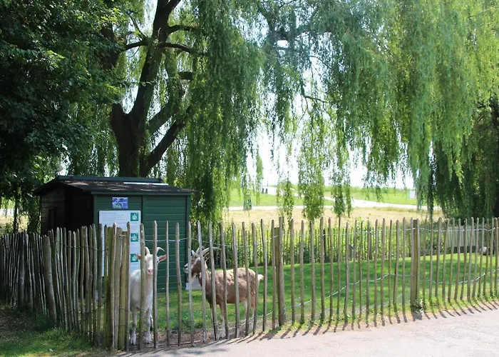 Recreatiepark De Koornmolen